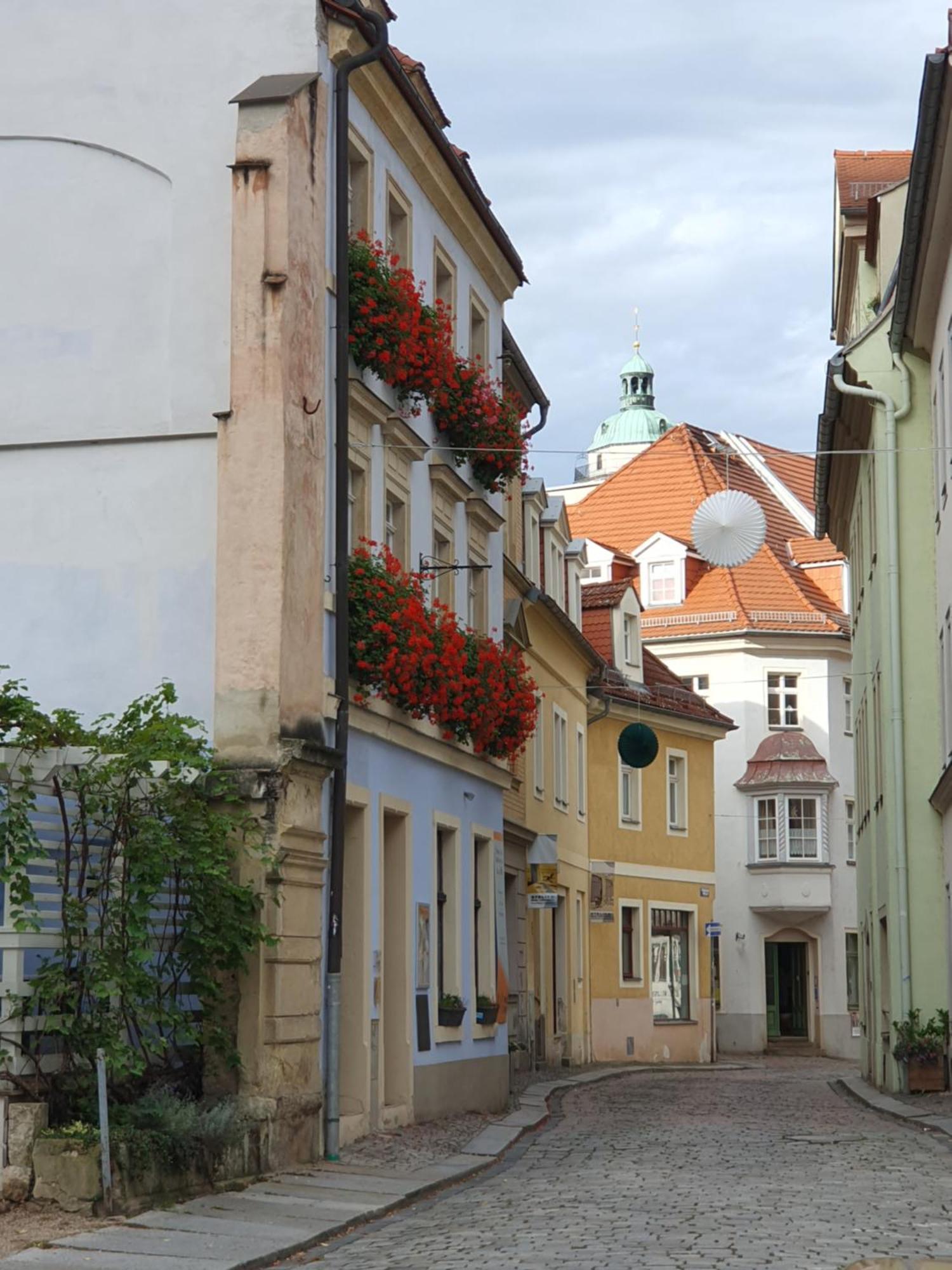 Ines Wolf In Der Meissner Innenstadt *